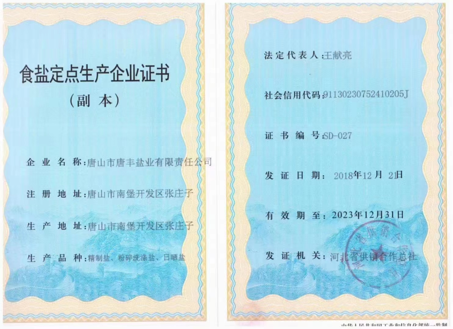 食鹽定點生產企業(yè)證書（副本）